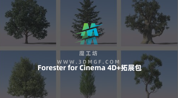 植物插件Forester for Cinema 4D+拓展包 森林植物生长插件支持C4D R18-2024 中文汉化版/中英双语版/英文原版