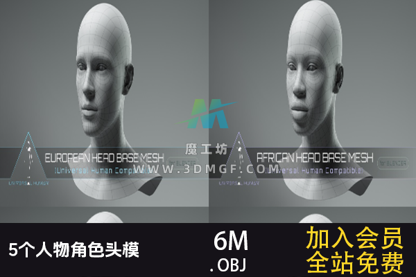 5个OBJ单体模型人物角色头模  3D模型