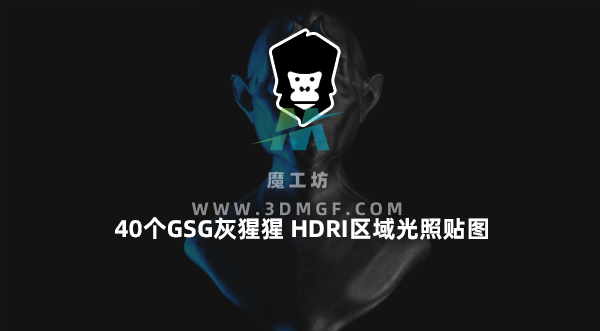 魔工坊-40个GSG灰猩猩 HDRI区域光照贴图