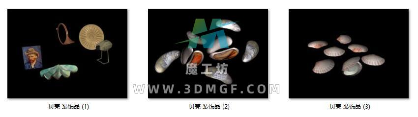 贝壳 贝类