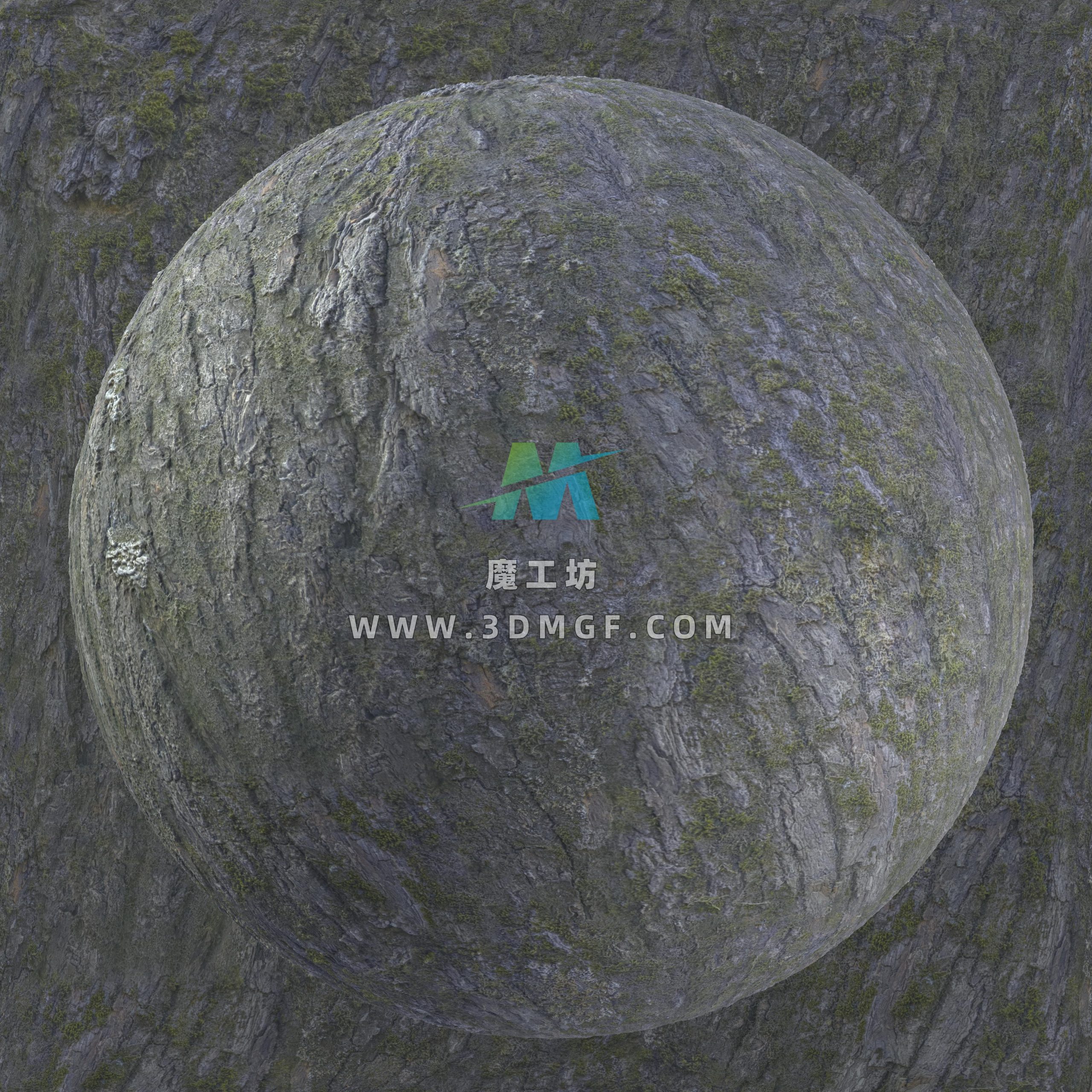魔工坊-树皮纹理贴图