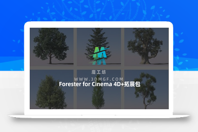 植物插件Forester for Cinema 4D+拓展包 森林植物生长插件支持C4D R18-2024 中文汉化版/中英双语版/英文原版