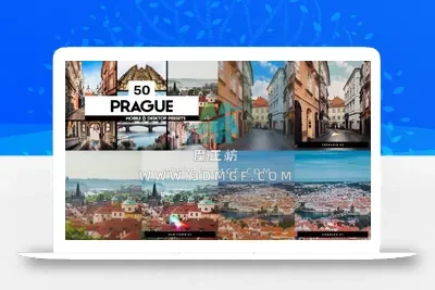 50款现代欧洲明亮电影假期人像旅拍LR调色预设LUT视频调色素材