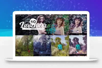 50款薰衣草紫色调自然景观电影旅拍LR调色预设LUT视频调色素材