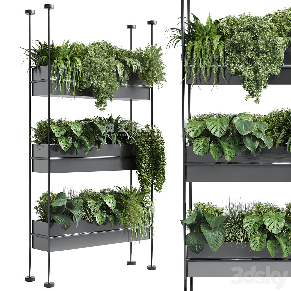 Stand Wall Decor With Shelves For The Closet Or Showcase Plants Collection 179 Vray 2015 3D模型