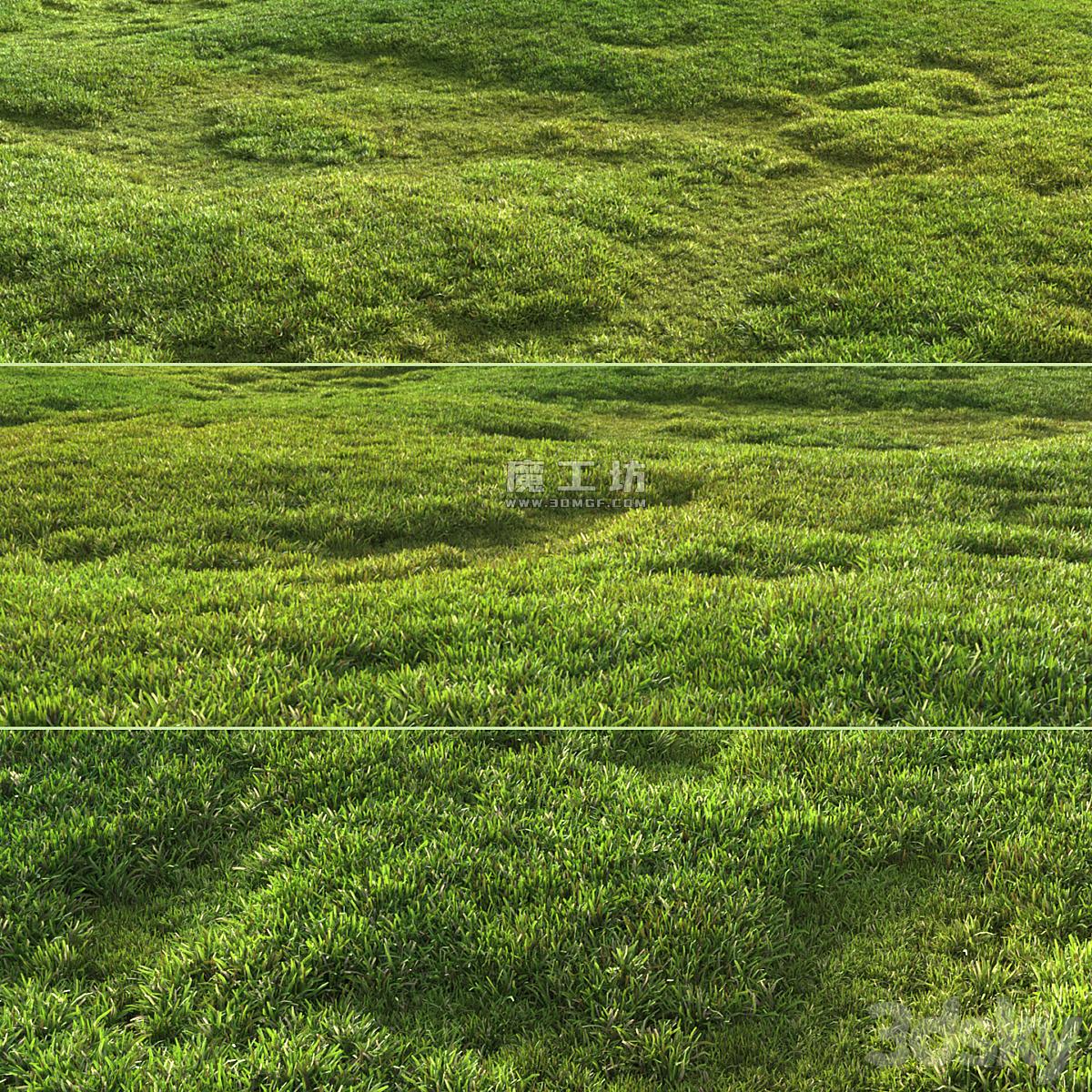 Tileable Grass Corona 3D模型