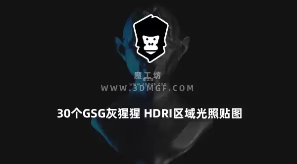 魔工坊-30个GSG灰猩猩 HDRI区域光照贴图