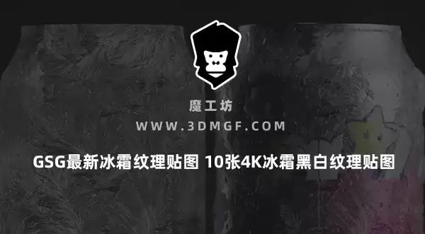 魔工坊-GSG最新冰霜纹理贴图 10张4K冰霜黑白纹理贴图