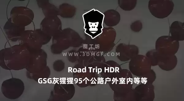 魔工坊-GSG灰猩猩95个公路户外室内等等 Road Trip HDR