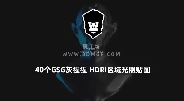 魔工坊-40个GSG灰猩猩 HDRI区域光照贴图