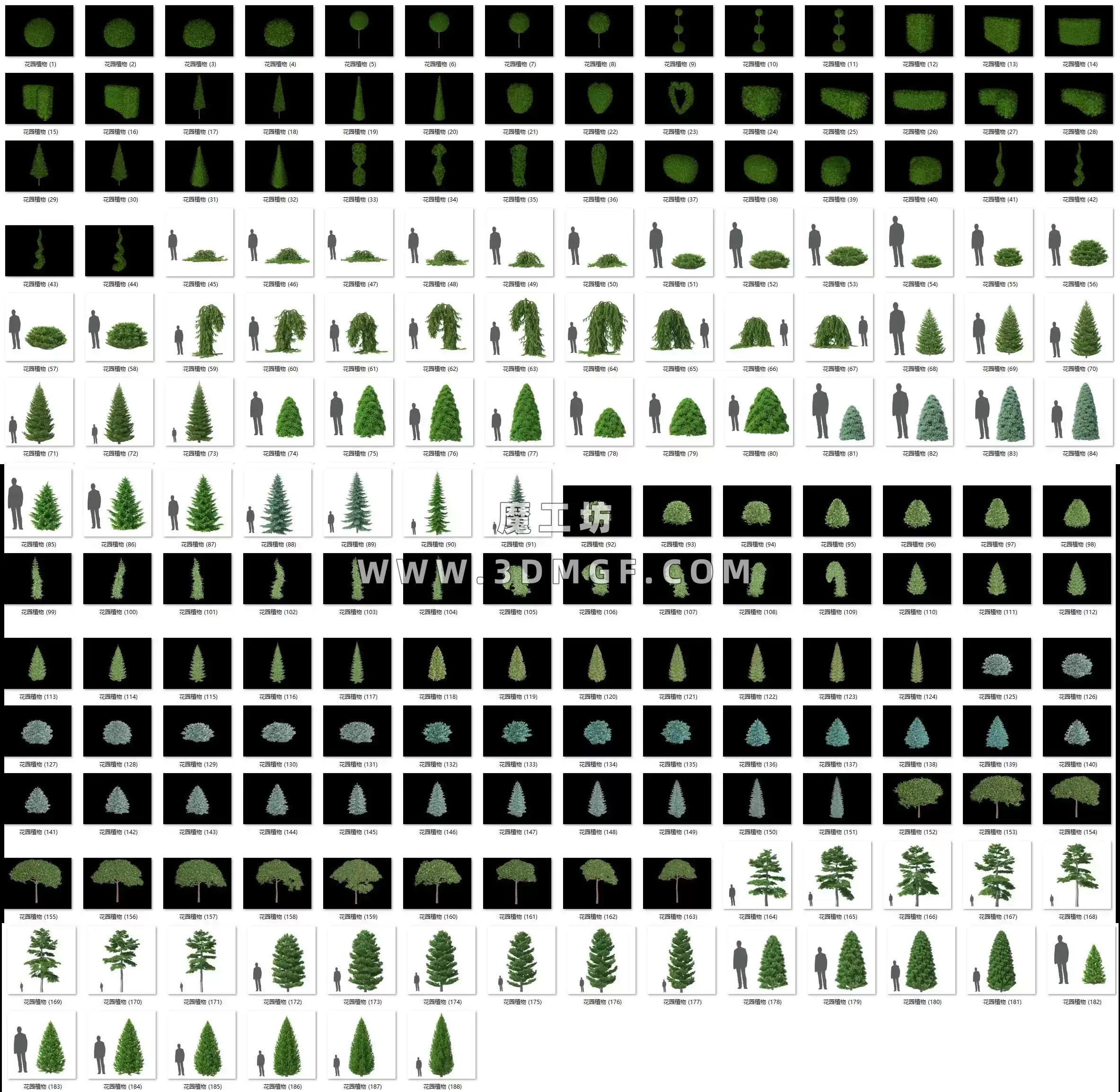 魔工坊-188个户外花园植物盆景