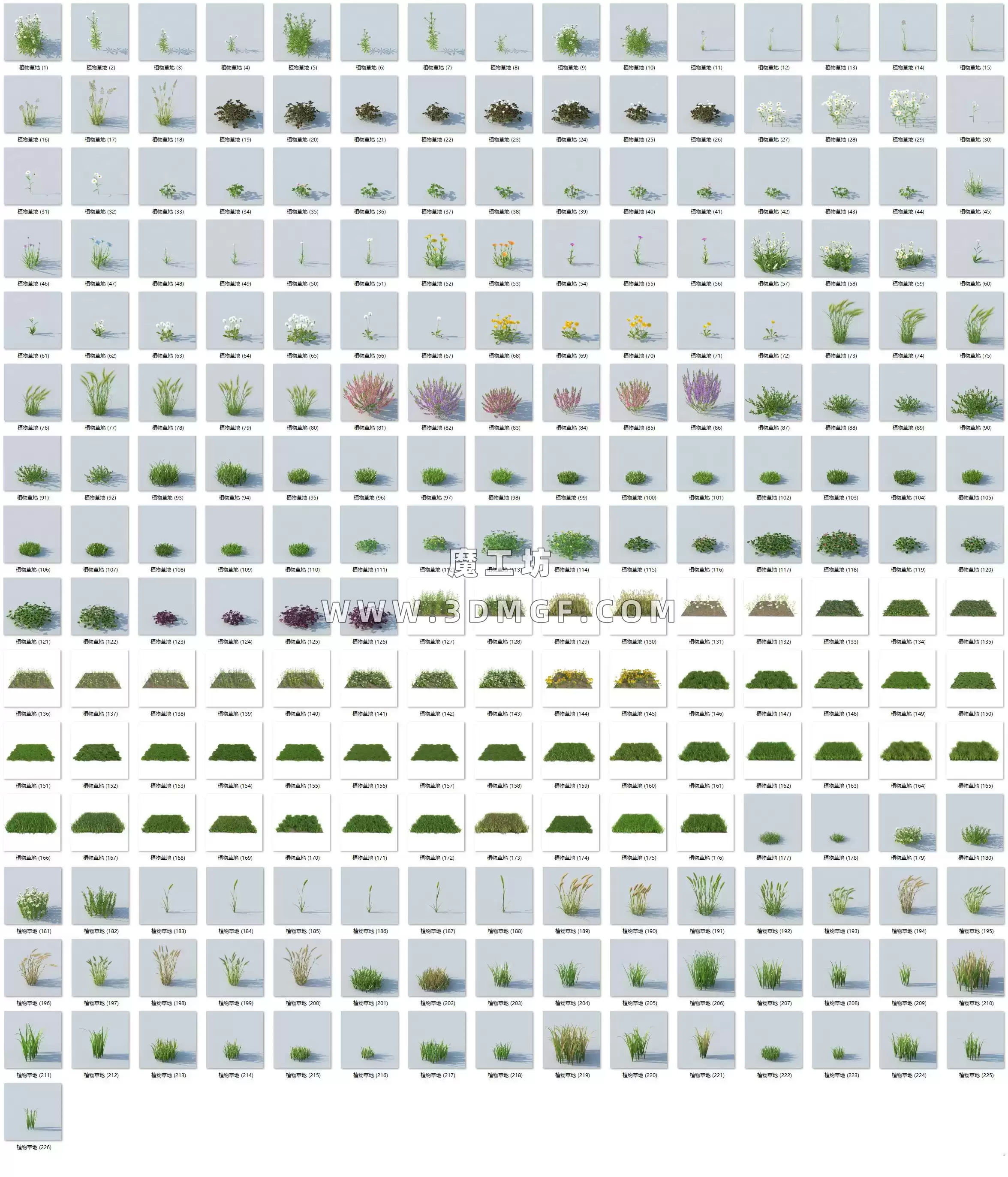 魔工坊-226个植物花丛草地C4D模型