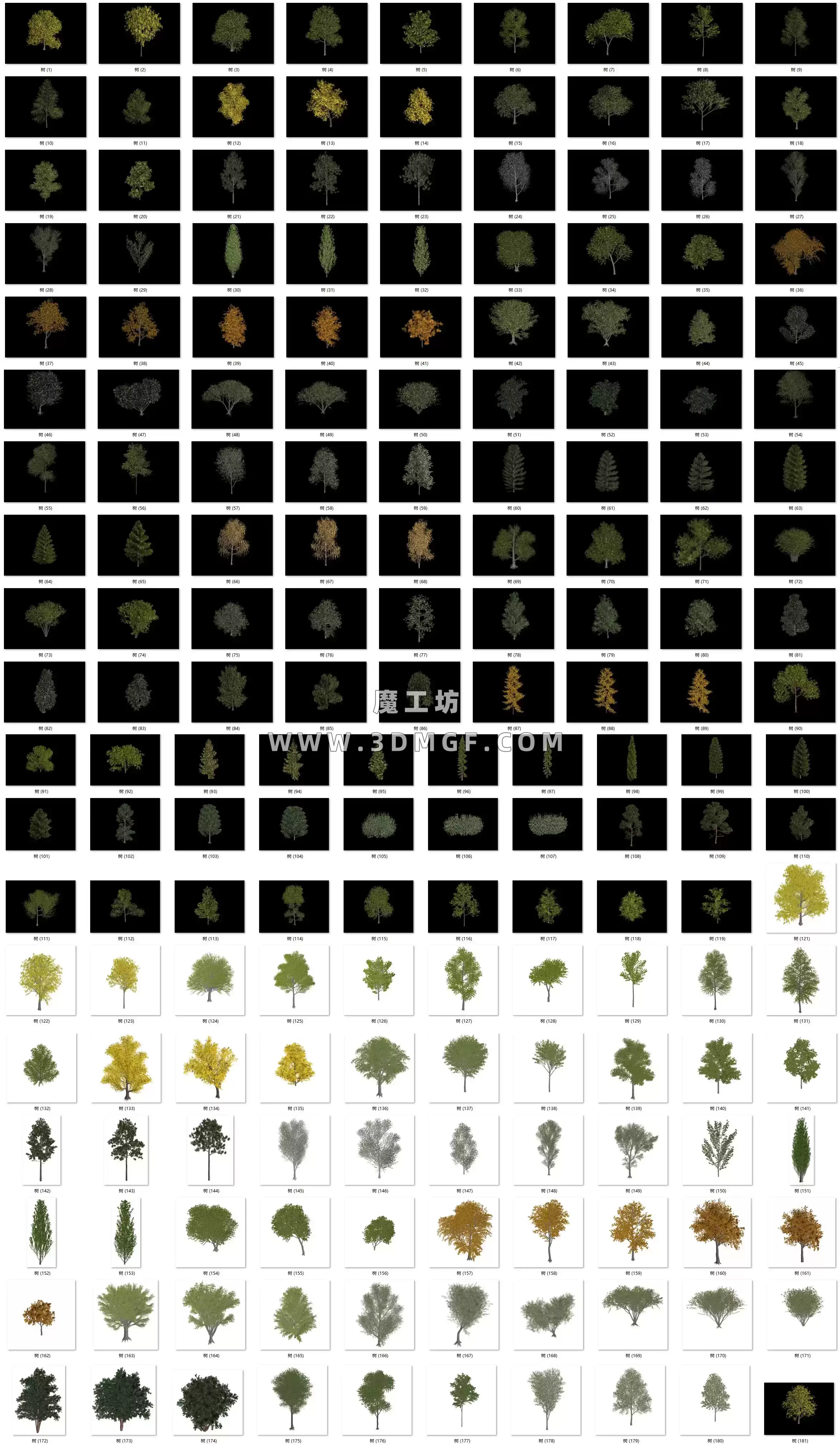 魔工坊-180个树C4D模型带贴图