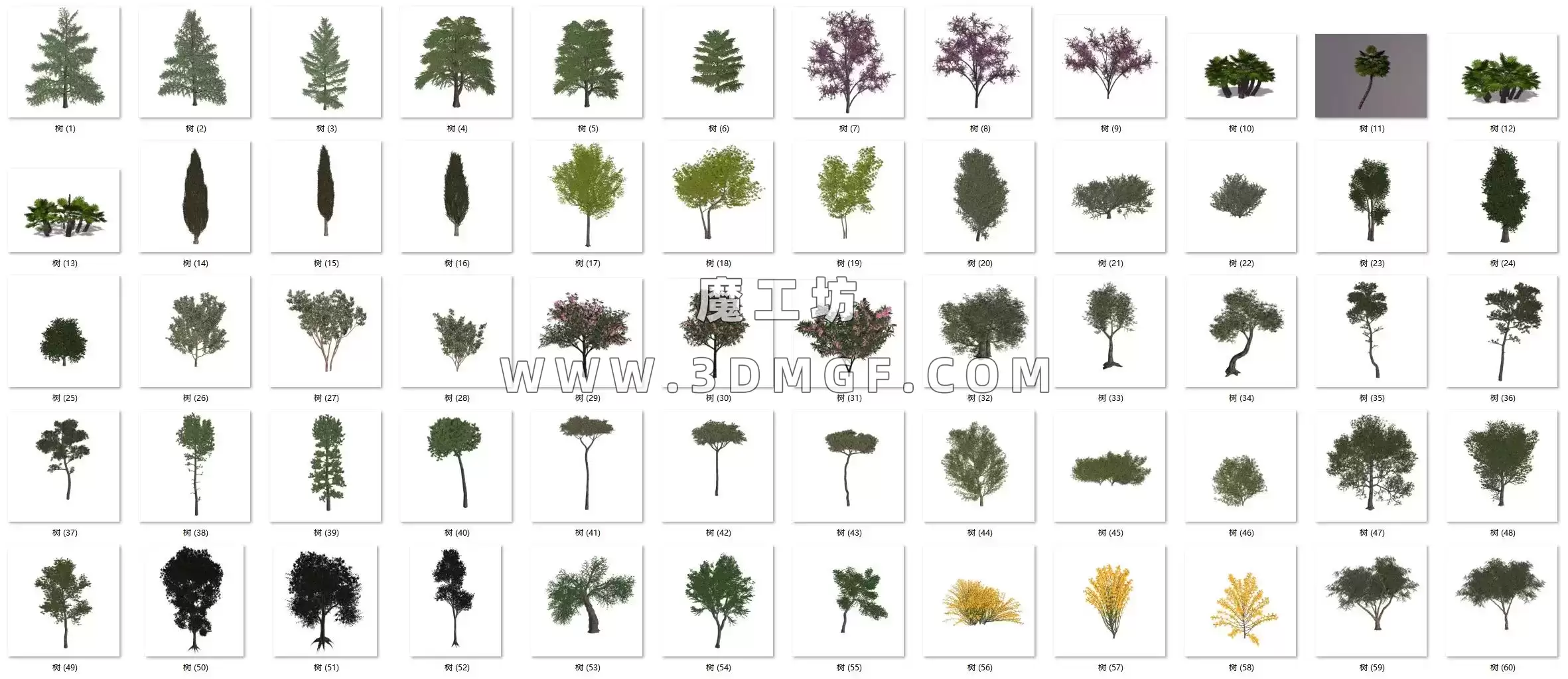 魔工坊-60个树木灌木C4D模型带贴图
