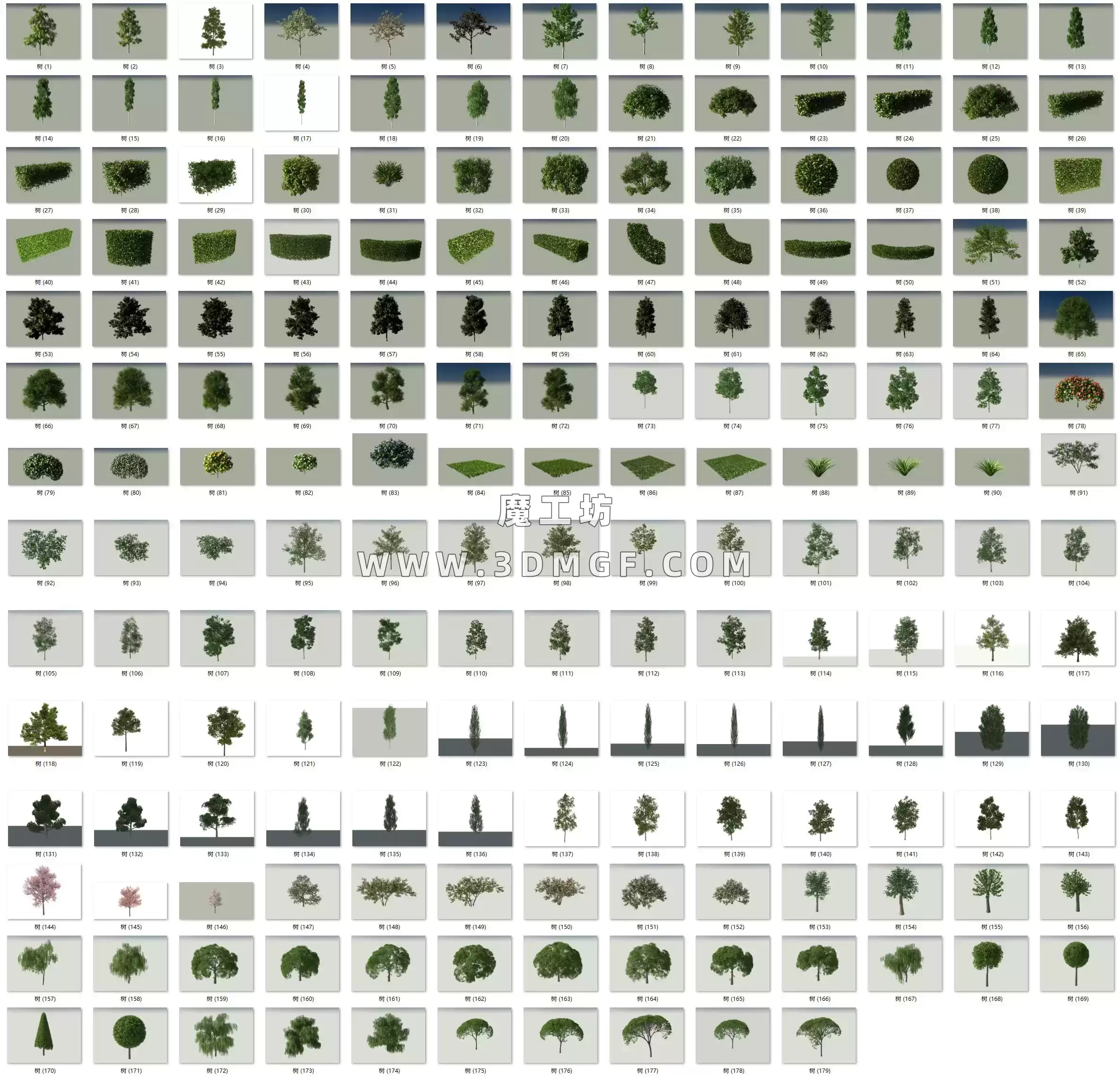 魔工坊-179个植物树模型-vray渲染