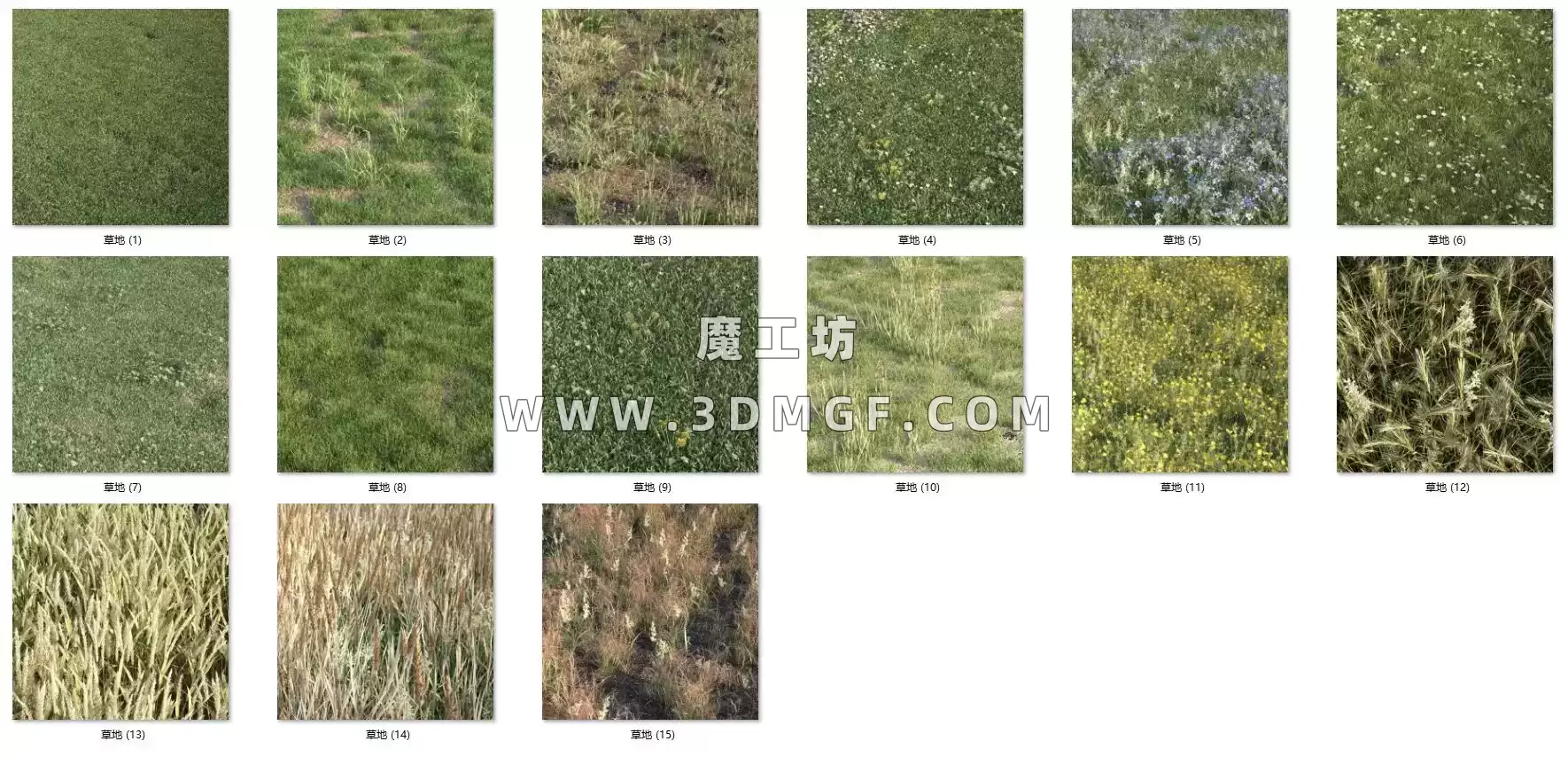 魔工坊-15个大面积草地-vray渲染含贴图