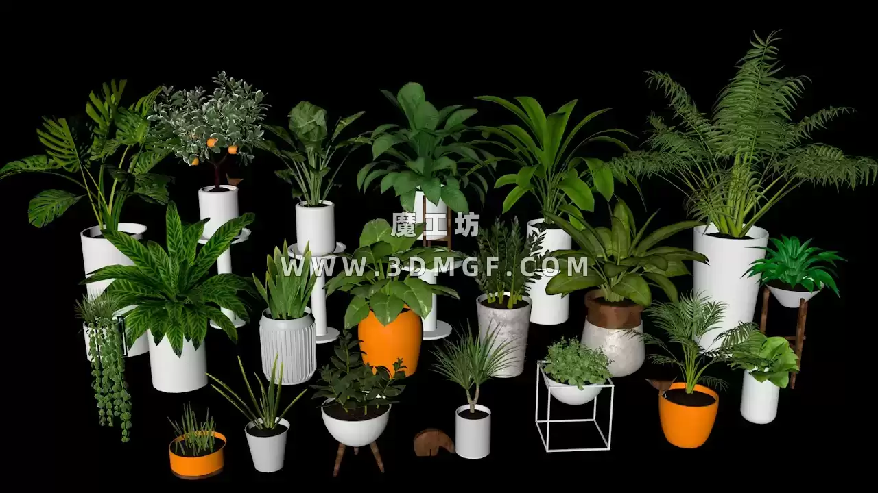 魔工坊-20个植物盆栽C4D模型带贴图
