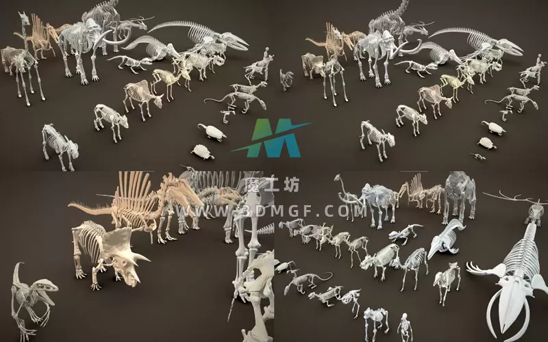 1款极简低多边形动物人类恐龙骨骼道具3D模型FBX格式白模无纹理