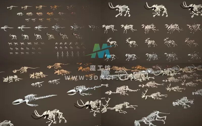 1款极简低多边形动物骨骼生物骨头道具3D模型GLTF格式白模无纹理