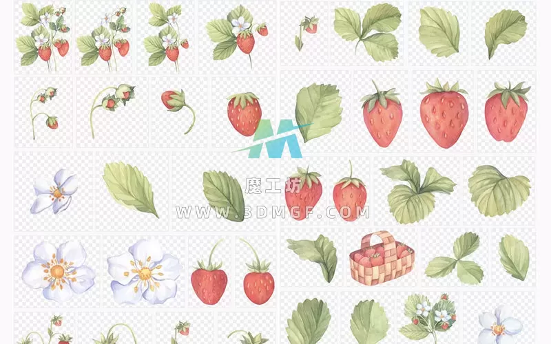 可爱手绘水彩草莓花卉插画贺卡片图案包装设计高清PNG免抠素材图