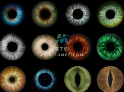 C4D特效合成眼球贴图2K渲染图片素材 blender/max猫眼png格式