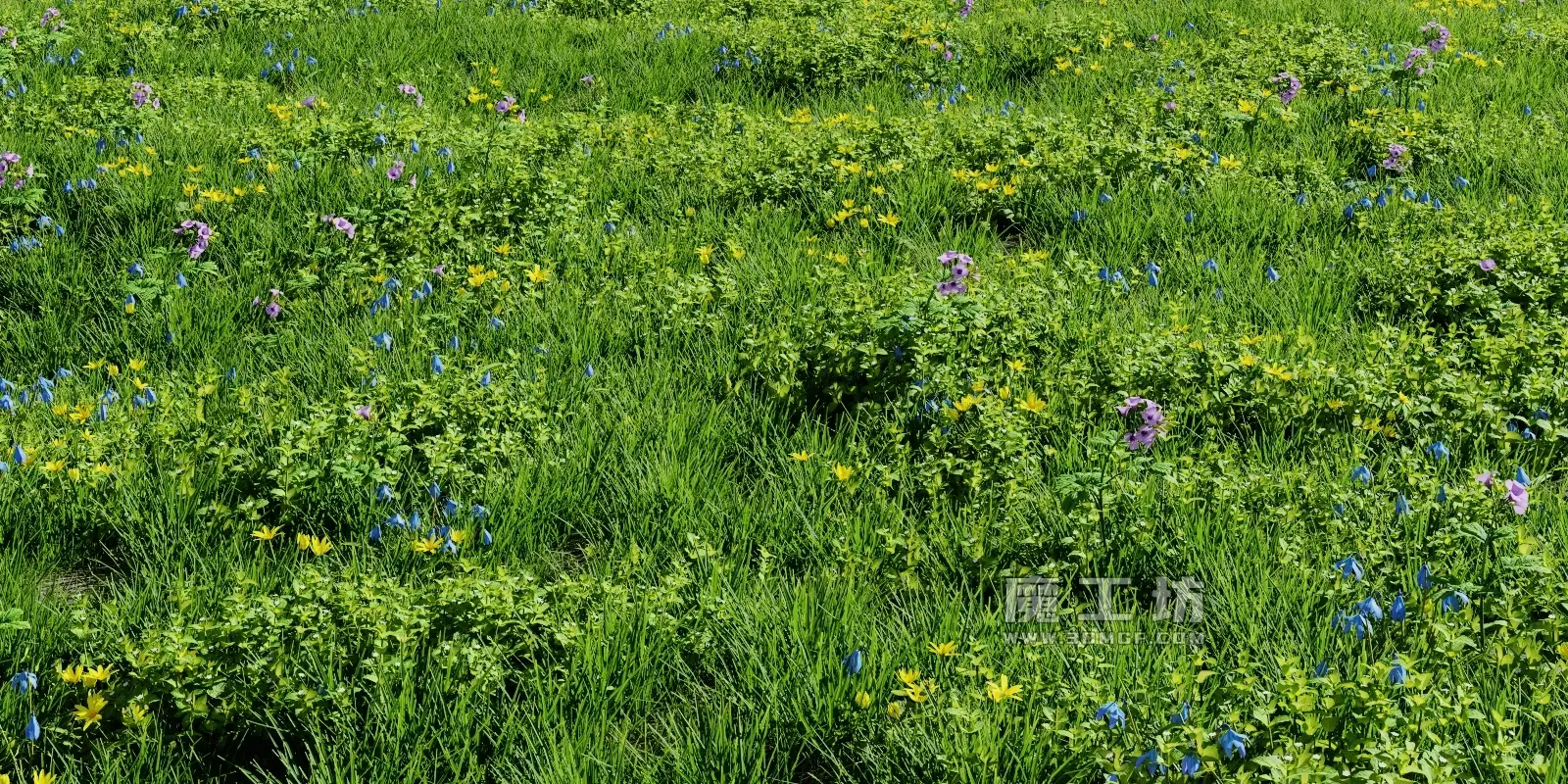 春草套装 - 景观美化套装